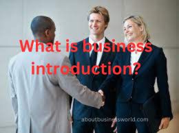 business introduction