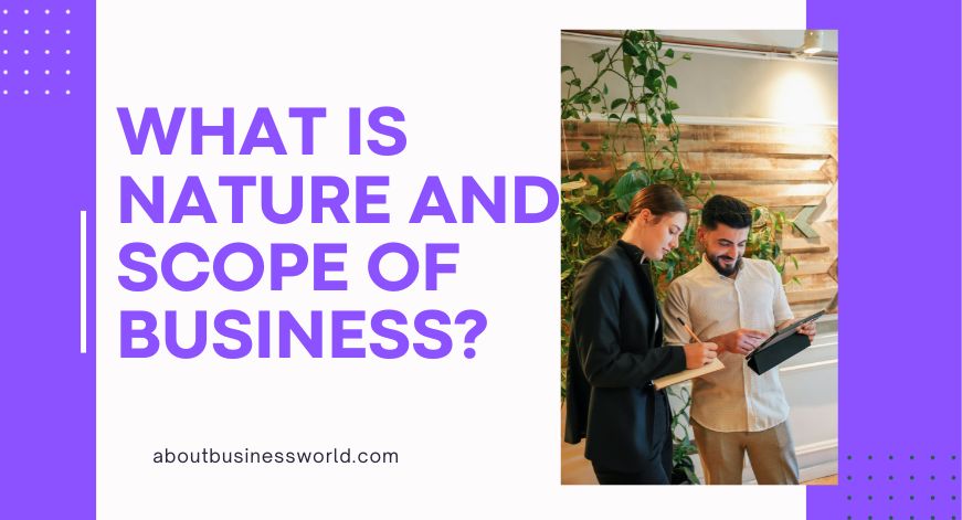 What is nature and scope of business